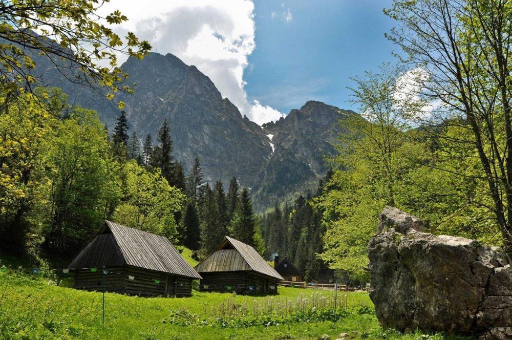 Domek Trzy Doliny Zakopane, Three Valleys Chalet With Jacuzzi Exteriör bild