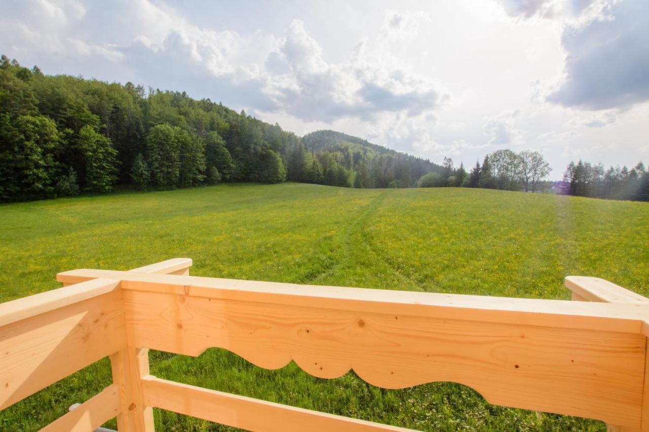 Domek Trzy Doliny Zakopane, Three Valleys Chalet With Jacuzzi Exteriör bild